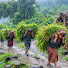 fBl9nFC2Gig-channel-avatar-SIMPLE  VILLAGE  LIFESTYLE 