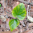 @자연인-p3v