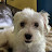 @StevenB-tr3mb