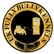 UK Fully Bully Kennels