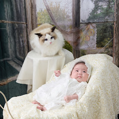 RE:ゼロからはじめる『ゆづ👶』『ゆき🐈』の下僕生活