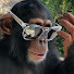 cdae1zvIr1Q-channel-avatar-Legendmonkey