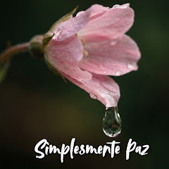 Simplesmente Paz