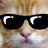 @coolcat7429
