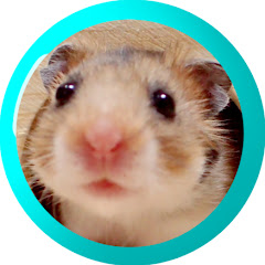 コーヒー味の水