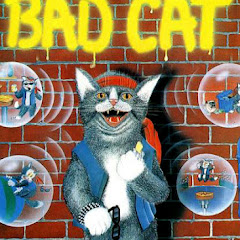 Street Cat - Topicアイコン画像