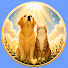 xmHhNRthmsQ-channel-avatar-Eden´s Promise