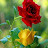 @ARUNAsRINIVASAN-g6l
