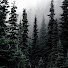 8PnkBqA69WE-channel-avatar-Ash-Veil Lane