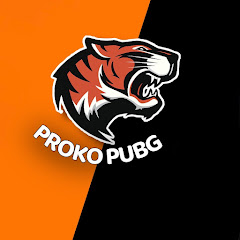 Proko PUBG