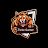 @tonicgamer8587