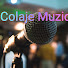 tvOl_E3r7tw-channel-avatar-Colaje Muzicale