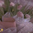 @AoAo123-u3l
