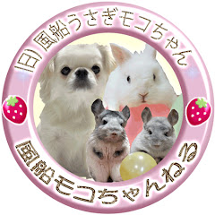 風船モコちゃんねる