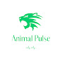 Animal Pulse logo