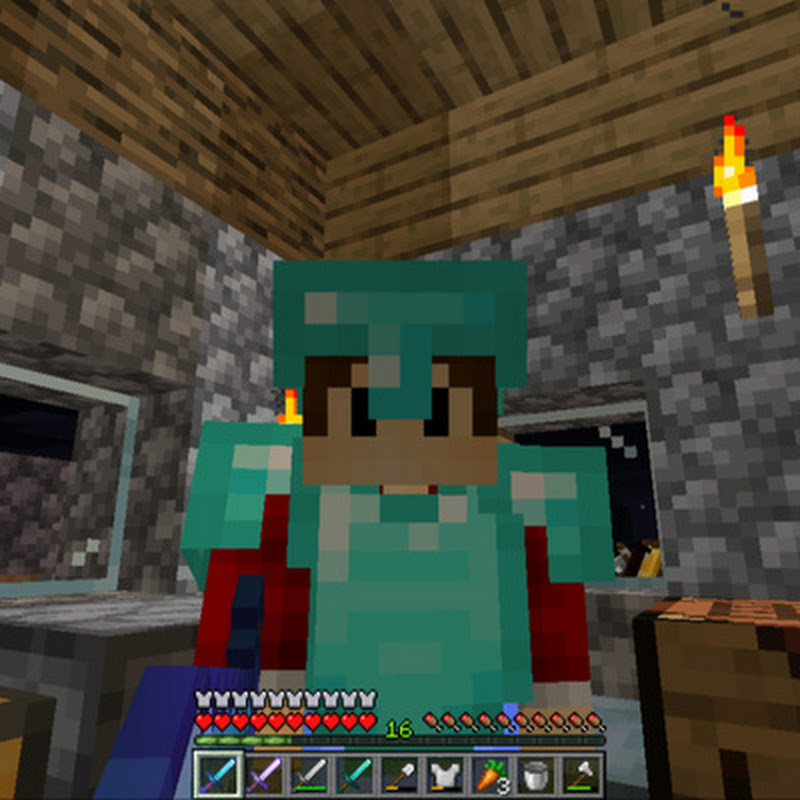 Kleiner Minecraft Cast