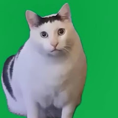 猫ミーム再バス委員会