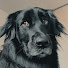19SEsUy_wzA-channel-avatar-Belu Bedorrou