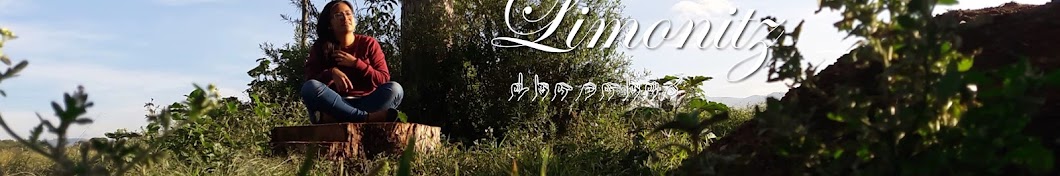 Limonitz Avatar canale YouTube 