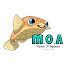 2Z14wSeSA2I-channel-avatar-Mother Of Aquatics
