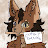 @Kelly_isCrazy-TvT