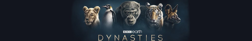 BBC Earth Unplugged YouTube channel avatar