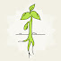0_aRUsG4c4w-channel-avatar-Italia Nutrizione