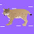 The Wandering Lynx
