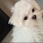 @앵그리토토
