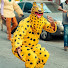 g1oX0Nn1Cxw-channel-avatar- Tlacololeros de Chilpancingo