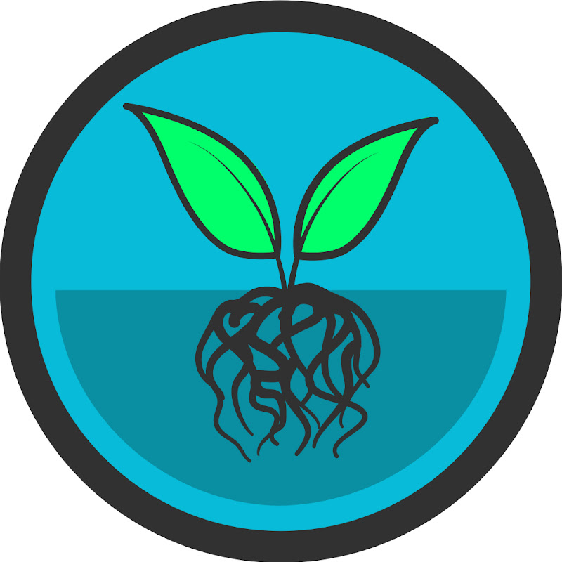 Aicardi Goutieres Syndrome Advocacy Association icon