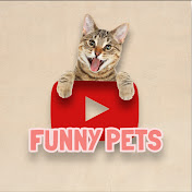 TIKTOK FUNNY PETS 