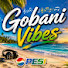 aL_DIiH8u4o-channel-avatar-Gobani Original Vibz