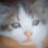 @soso-z3i8g