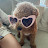 @Deboratsiqueira's avatar