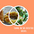 DjhHJRJCsWA-channel-avatar-Canal da Val - Receitas Fáceis