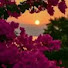 jmX_dzyFm-A-channel-avatar-Itz_AliyaPlayzz