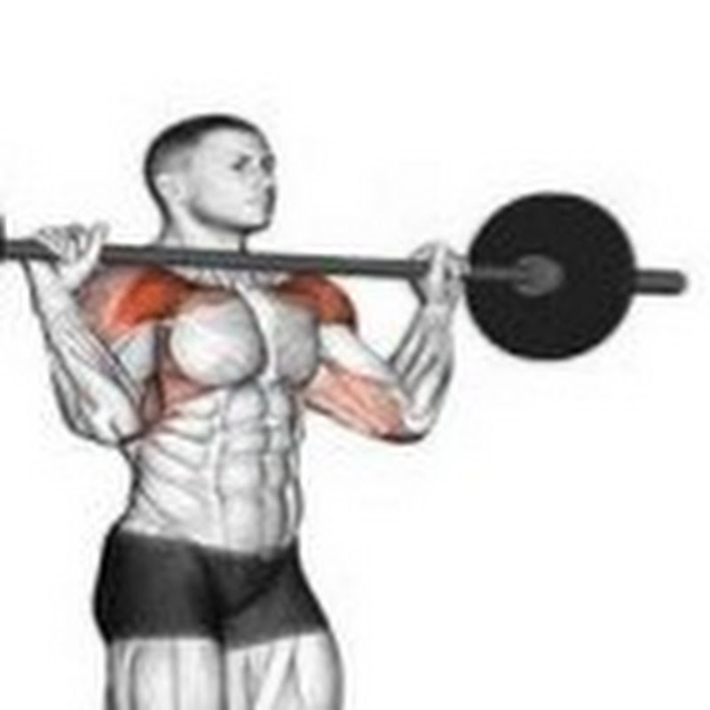 Workout Training Exercise