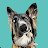 @alfoort5033 Avatar
