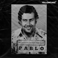 Milan Stanković - Topic