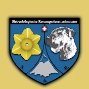 Siebenbürgische Rettungsriesenschnauzer