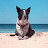 Avatar photo