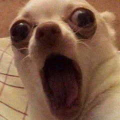 韓承佑アイコン画像