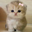@JustVibes1430
