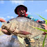H5_GMPMV4Mo-channel-avatar-KELOGS TV