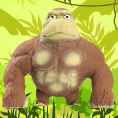 Channel thumbnail for Me & My Monkey 🐒