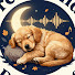 pytQX3xrIuU-channel-avatar-Dreamland Dog Tones