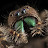 @CcatVideogames's avatar
