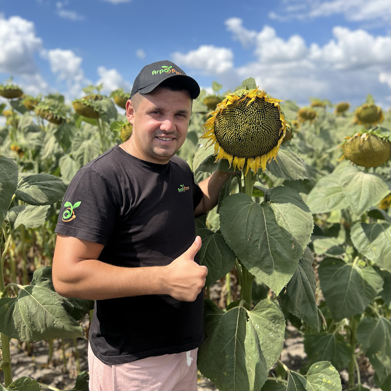 Сільський Vibe Logo