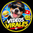 88u6IqFcFbc-channel-avatar-El Tongas-HUMOR